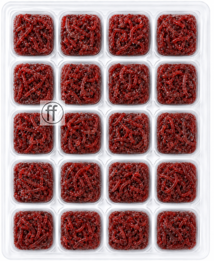 M�ckenlarven Rot NewLine Blister 100g