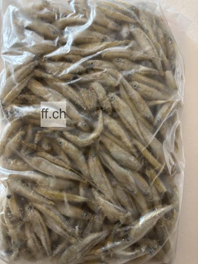 Stinte (kleine Fische 3-5 cm) 1000 g