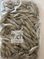Stinte (kleine Fische 3-5 cm) 1000 g
